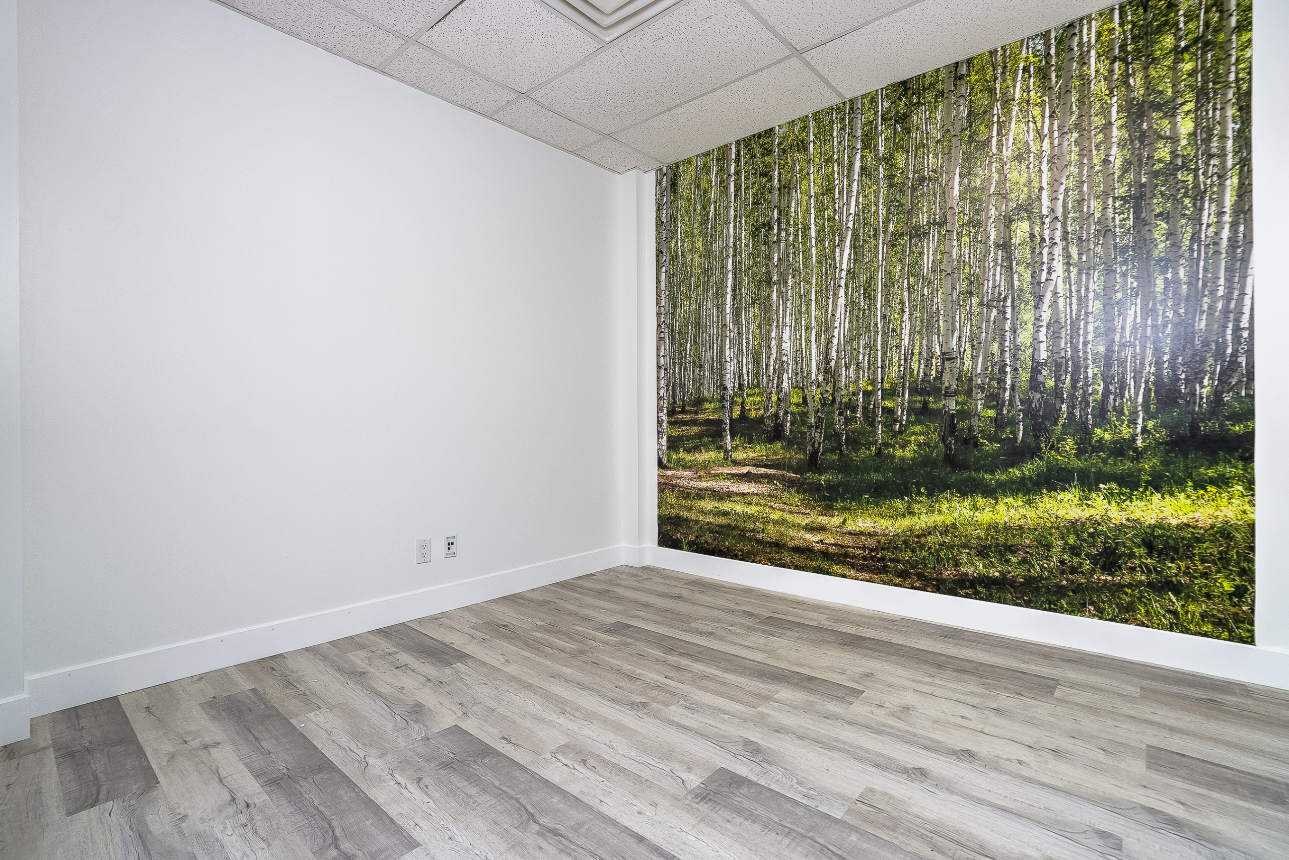 Bright Commercial Office Space for Rent – LaSalle