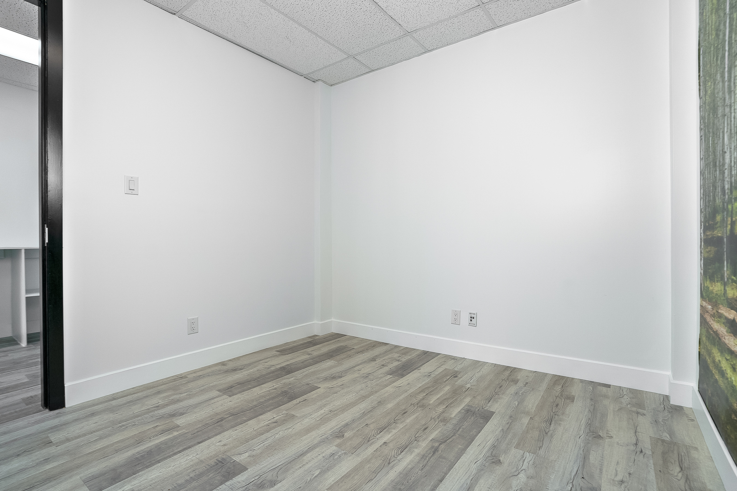 Bright Commercial Office Space for Rent – LaSalle